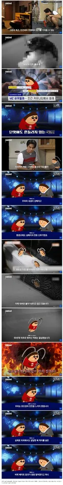 요즘 바퀴벌레가 쉽게 죽지않는 이유.jpg