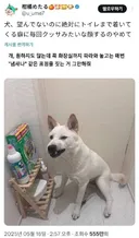 원하지도 않는데 꼭 화장실까지 따라와 놓고는.jpg