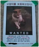 욕망이 가득한 실종 전단지