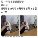 담배피던 고양이가 사람말을 하던 시절