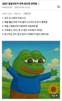 결혼 안 한 거, 진짜 최고로 만족함.