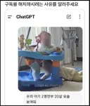 채찍피티 구독 취소 사유
