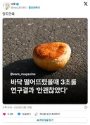 충격적인 연구 결과
