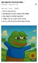 결혼 안 한 거 진짜 최고로 만족함