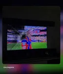 TV 박살낸 브라질 사람에게 답글 단 홀란드