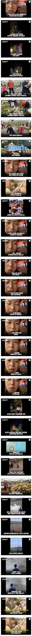 1억7천 들고 귀농했다 파산한 중국인 .jpg