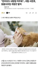 국힘, '반려묘도 내장칩 의무화' 개정안 발의. 그런데 민주당은?