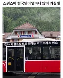 스위스에 한국인이 얼마나 많이 가길래