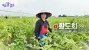 20대 베트남 여성과 결혼한 50대 한국 남성