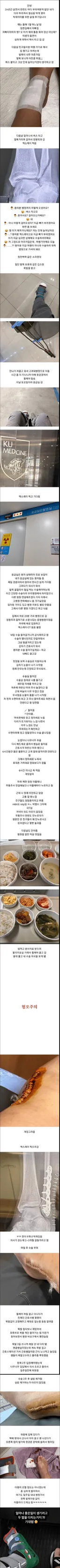 발목 부러졌는데 안아프다는 관우녀.jpg