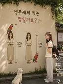 앵무새의 키는 몇일까요?