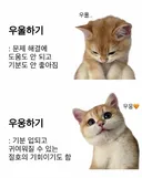다들 우웅증에 걸리길 빈다