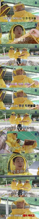 여왕벌이 실제로는 노예일 수 있다는 근거