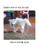 동물들이 태어나서 처음 겪은 일들