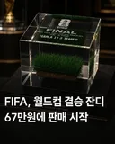피파 돈미새 새끼들ㅋㅋ 결승전 잔디 판매