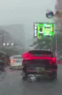 도로에서 출산한 BYD.mp4