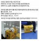 지하철에 강아지 애견가방 없이 탔는데 아무도 뭐라 안함