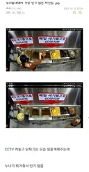 동네에서 인기 많은 치킨 집의 최후