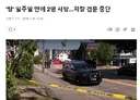 미국 ICE '탕' 일주일 만에 2명 사망…차량 검문 중단