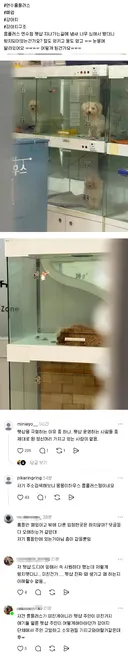 폐업 후 방치되고 있는 것 같다는 펫샵