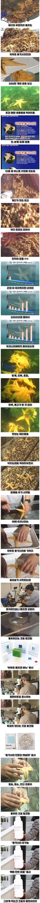 우리나라로 넘어온 바다의 무법자 아무르 불가사리의 최후