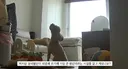 이거 다 감당가능하면 강아지 키워라.jpg