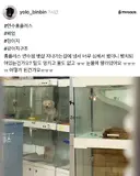 연수 홈플러스 펫샵 근황