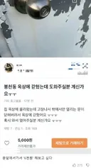 당근의 새로운 용도.ㅋㅋ