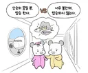 Q. 어젯밤 비행기 폭발되는 꿈을 꿨는데 오늘 비행기를 탄다. 덬들은????.jpg