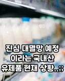 대멸망할지도 모른다는 국내산 유제품 현황