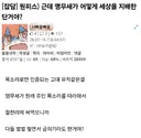 원피스)아ㅋㅋ 앵무새가 뭔능력으로 세계를 지배함