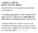원피스) 와 gpt한테 앵무새 특성 속성강의 들었는데 소름돋음 ㄷㄷ