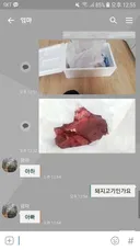 택배속 고기의 정체