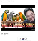 ??? : 그래..원버갤 떡밥 생산하느라 수고했다..