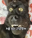 처음 보는 괴생명체