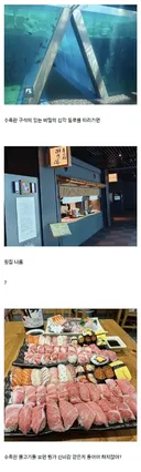 어떤 일본 수족관에 있는것.jpg