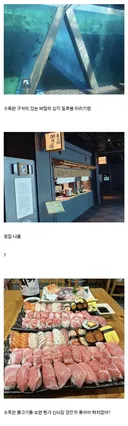 일본 수족관에 있다는 비밀 횟집