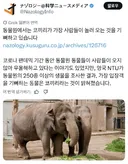 동물원에서 사람이 오면 제일 기뻐하는 동물.jpg