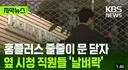 홈플러스 폐점 옆 시청직원들 날벼락.jpg
