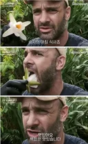 트릭컬) 보빔말곤 어떤 내용도 없는게 공식영상이라고요