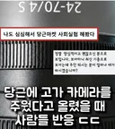 당근에 고가 카메라를  주웠다고 올렸을 때  사람들 반응