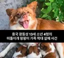 혐주의 현재 중국에서 난리난 동물학대사건