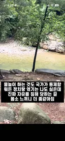 나라에 자유를 침해당하고 있다는 인스타 근황