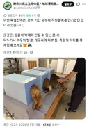 엉덩이를 마구 만질 수 있다는 일본 전시회