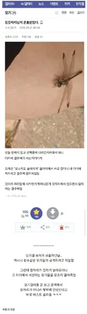 모기 갤러리 회원이 감동을 금치 못했던 이유 . JPG