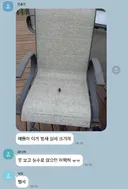 벌새 실제 크기 .jpg
