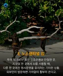 전세계 인류 접근 금지 구역 8