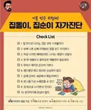 집돌이 집순이 테스트