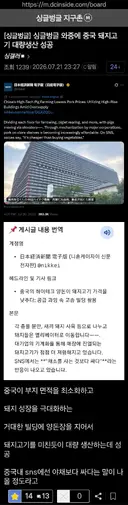 오싹오싹 중국... 돼지 대량 생산 성공