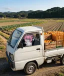 "오렌지 배달하고 올게doro"
